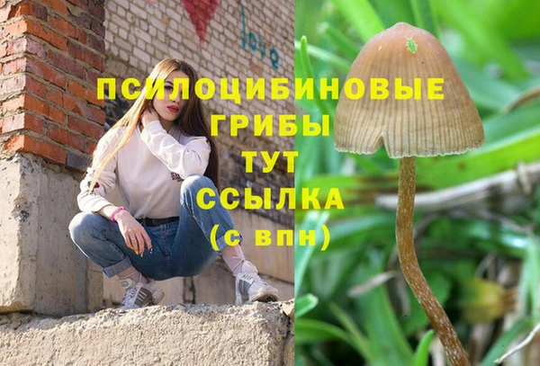 круглые Иннополис